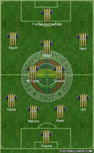 Fenerbahçe SK Formation 2015