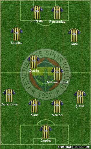 Fenerbahçe SK Formation 2015