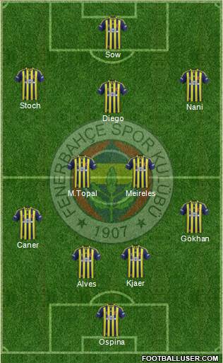 Fenerbahçe SK Formation 2015