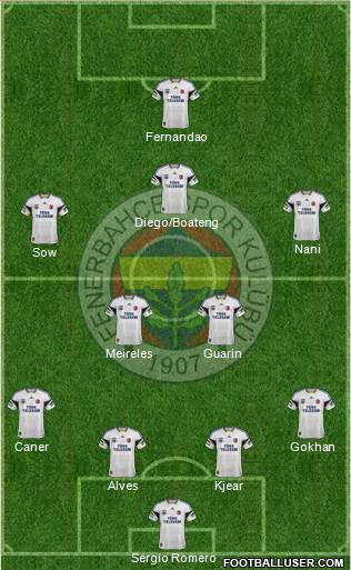 Fenerbahçe SK Formation 2015
