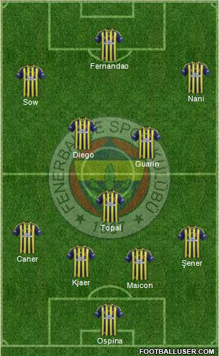 Fenerbahçe SK Formation 2015