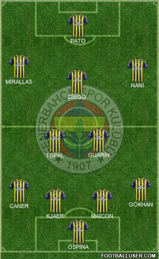 Fenerbahçe SK Formation 2015