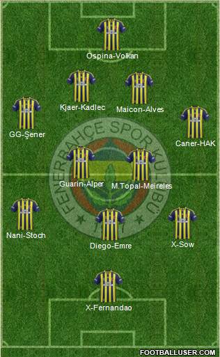 Fenerbahçe SK Formation 2015