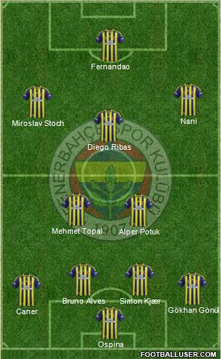 Fenerbahçe SK Formation 2015