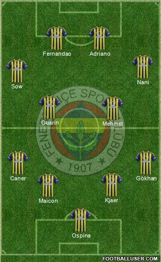 Fenerbahçe SK Formation 2015