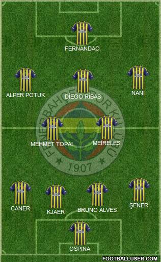 Fenerbahçe SK Formation 2015