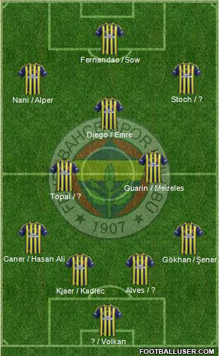 Fenerbahçe SK Formation 2015