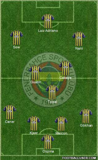 Fenerbahçe SK Formation 2015