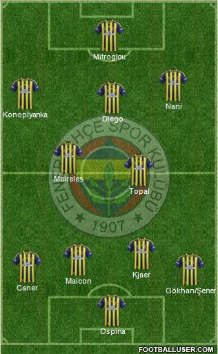 Fenerbahçe SK Formation 2015