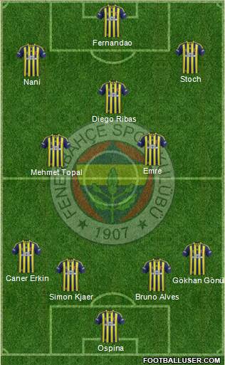 Fenerbahçe SK Formation 2015