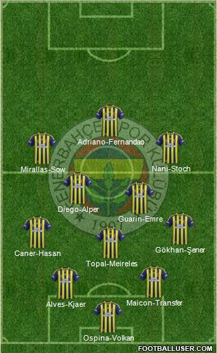 Fenerbahçe SK Formation 2015