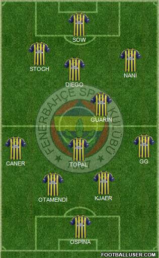 Fenerbahçe SK Formation 2015