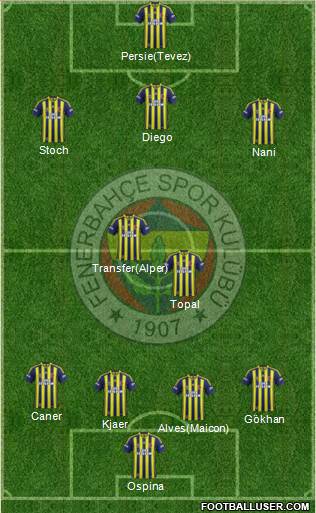 Fenerbahçe SK Formation 2015