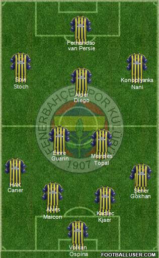 Fenerbahçe SK Formation 2015