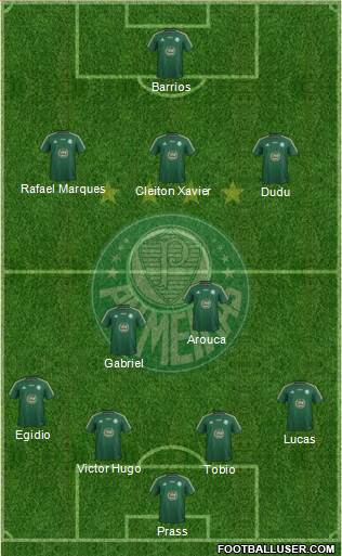 SE Palmeiras Formation 2015