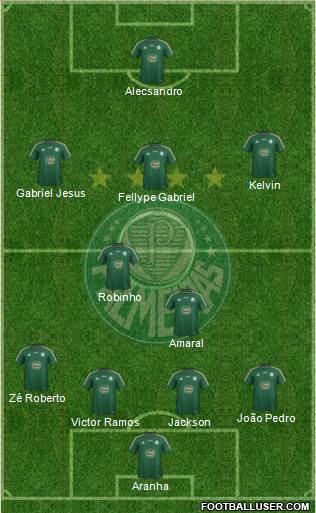 SE Palmeiras Formation 2015