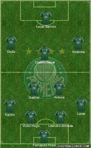 SE Palmeiras Formation 2015