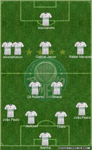 SE Palmeiras Formation 2015