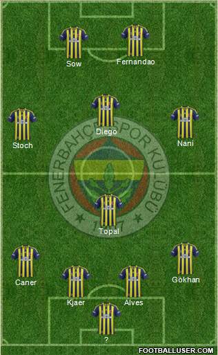 Fenerbahçe SK Formation 2015