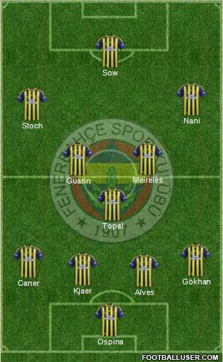 Fenerbahçe SK Formation 2015
