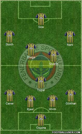 Fenerbahçe SK Formation 2015