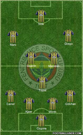 Fenerbahçe SK Formation 2015