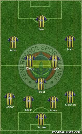 Fenerbahçe SK Formation 2015