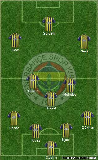 Fenerbahçe SK Formation 2015