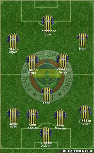 Fenerbahçe SK Formation 2015