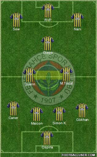 Fenerbahçe SK Formation 2015