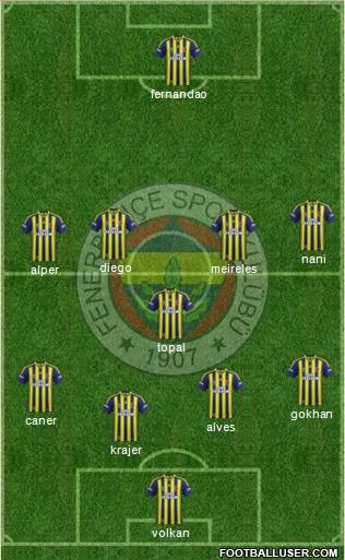 Fenerbahçe SK Formation 2015