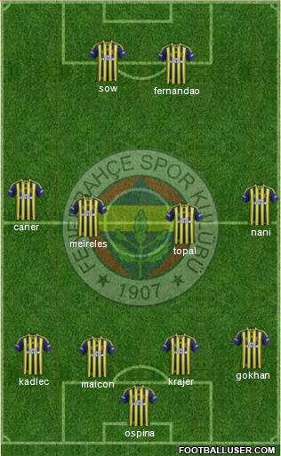 Fenerbahçe SK Formation 2015