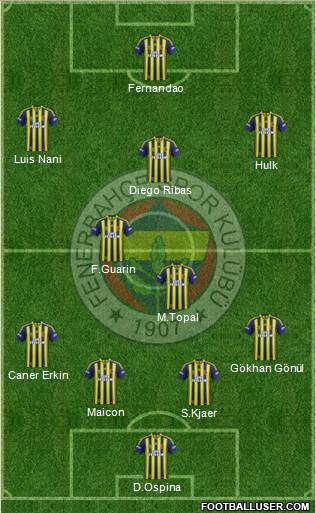 Fenerbahçe SK Formation 2015