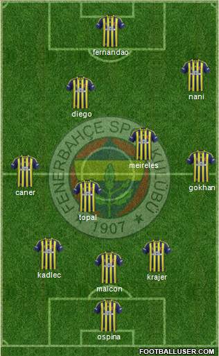 Fenerbahçe SK Formation 2015