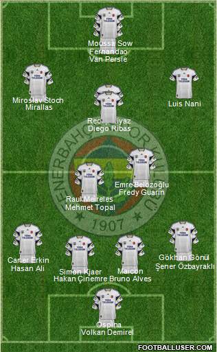 Fenerbahçe SK Formation 2015