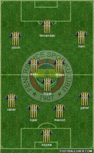 Fenerbahçe SK Formation 2015