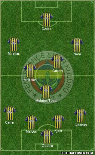 Fenerbahçe SK Formation 2015