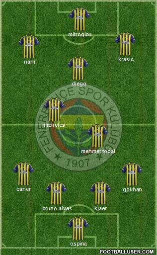 Fenerbahçe SK Formation 2015