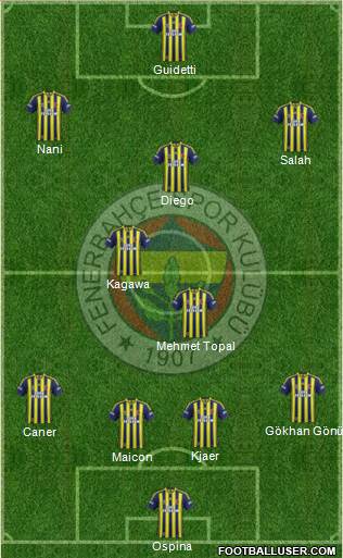 Fenerbahçe SK Formation 2015
