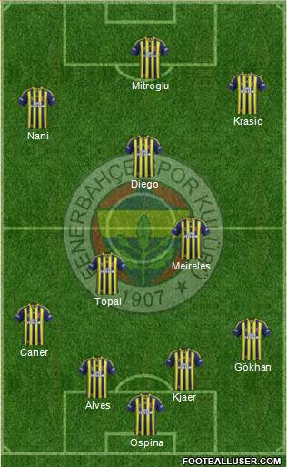Fenerbahçe SK Formation 2015