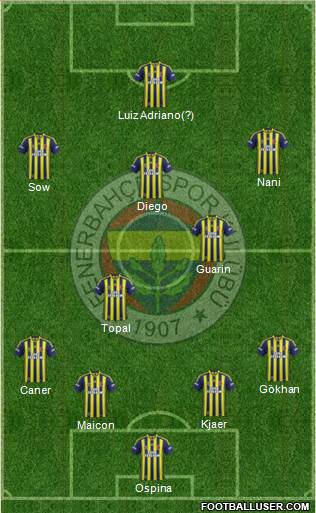 Fenerbahçe SK Formation 2015