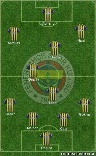 Fenerbahçe SK Formation 2015