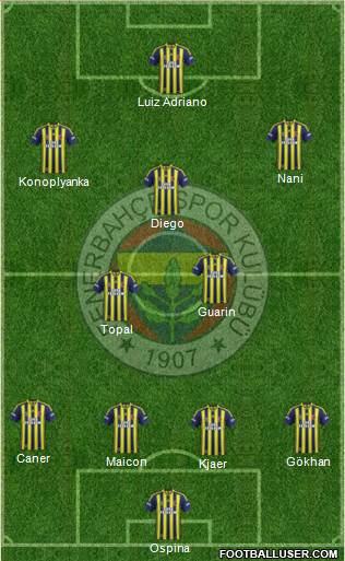 Fenerbahçe SK Formation 2015