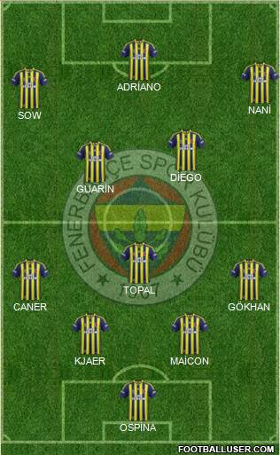 Fenerbahçe SK Formation 2015