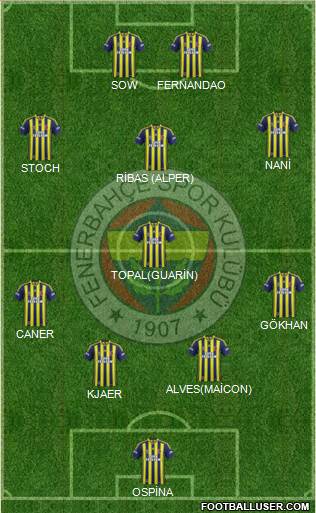 Fenerbahçe SK Formation 2015