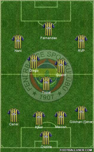 Fenerbahçe SK Formation 2015