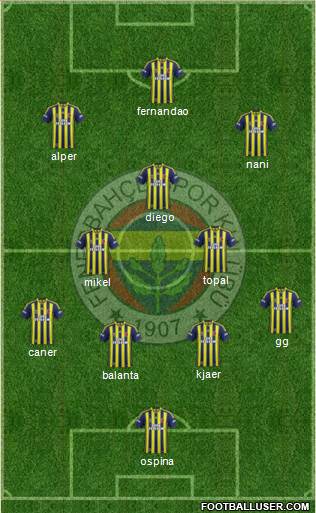 Fenerbahçe SK Formation 2015