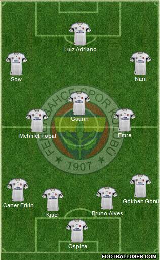 Fenerbahçe SK Formation 2015