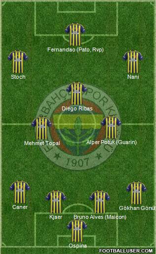 Fenerbahçe SK Formation 2015