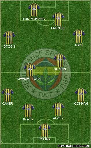 Fenerbahçe SK Formation 2015